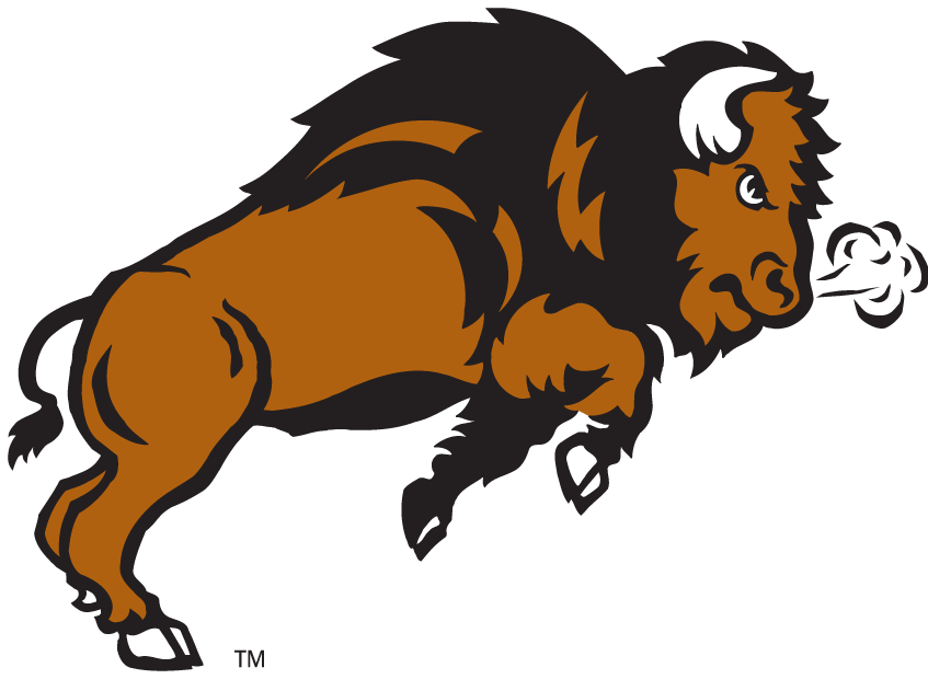 North Dakota State Bison 2005-2011 Secondary Logo v3 diy DTF decal sticker